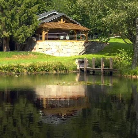 L'Ilet Aux 2 Etangs Villa Saint-Nabord Ngoại thất bức ảnh