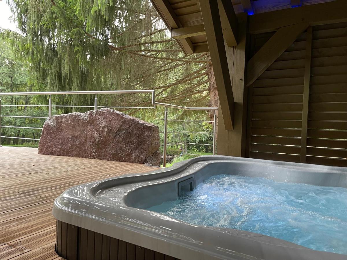 L'Ilet Aux 2 Etangs Villa Saint-Nabord Ngoại thất bức ảnh